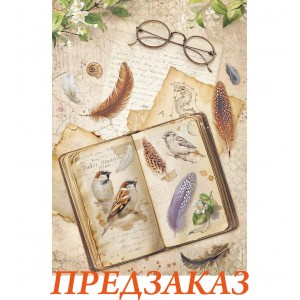 Бумага рисовая для декупажа Stamperia DFSA41118 "Записная книжка", А4